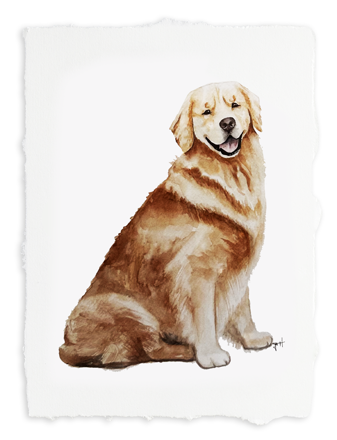 golden-hour-live-art-anniversary-22