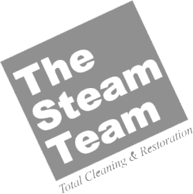 the-steam-team